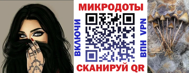 Купить  Велиж  Псилоцибиновые грибы Psilocybe 