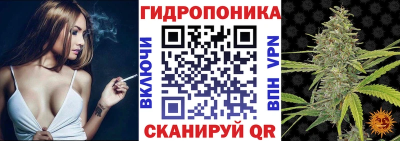 Бошки марихуана Bruce Banner  Купить  Велиж 